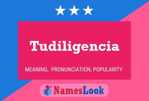 ملصق اسم Tudiligencia