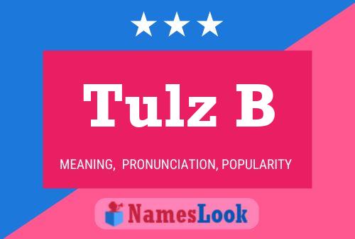 ملصق اسم Tulz B