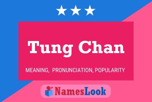 ملصق اسم Tung Chan