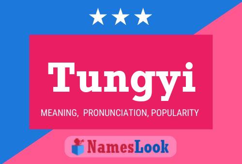 ملصق اسم Tungyi