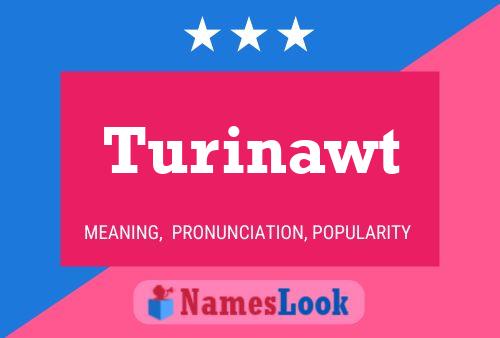 ملصق اسم Turinawt