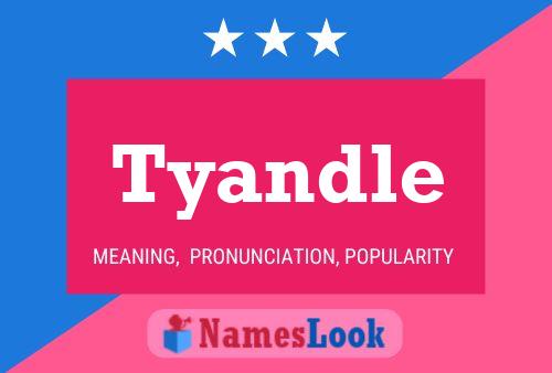 ملصق اسم Tyandle