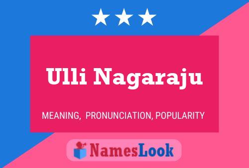 ملصق اسم Ulli Nagaraju