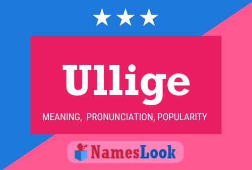 ملصق اسم Ullige