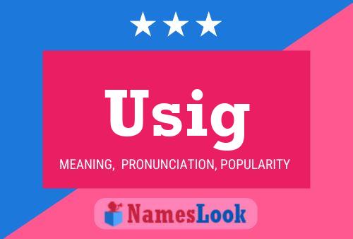 ملصق اسم Usig