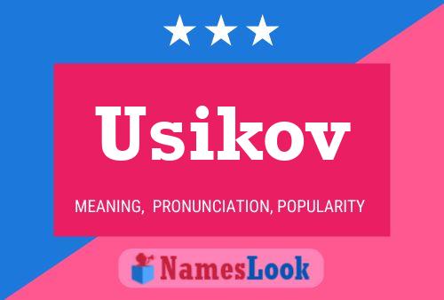 ملصق اسم Usikov