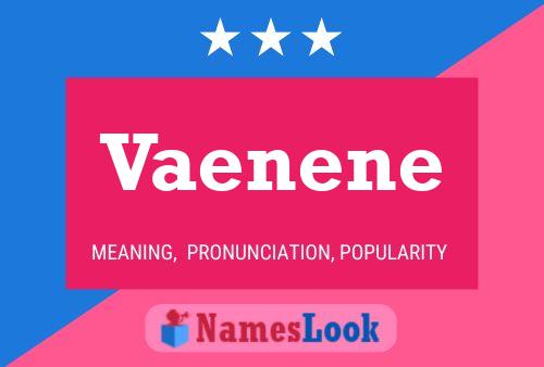 ملصق اسم Vaenene