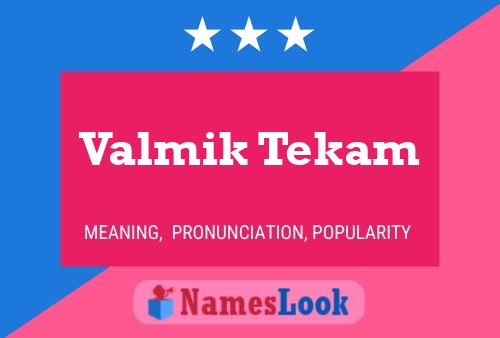 ملصق اسم Valmik Tekam