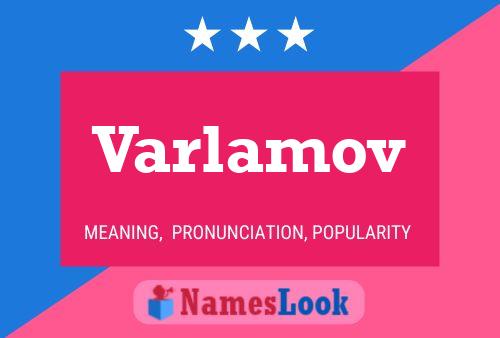 ملصق اسم Varlamov