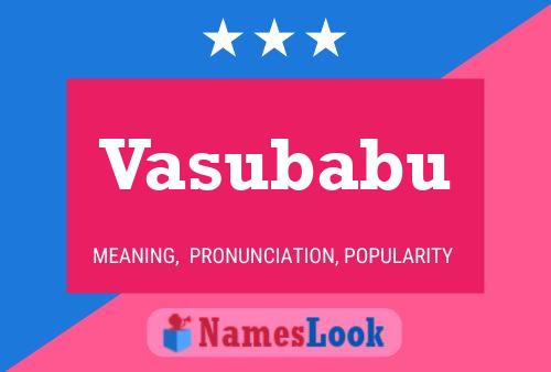 ملصق اسم Vasubabu