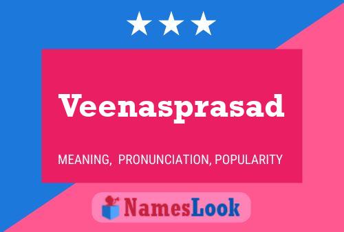 ملصق اسم Veenasprasad