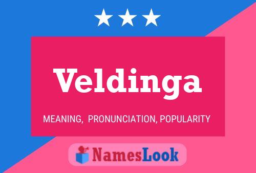 ملصق اسم Veldinga