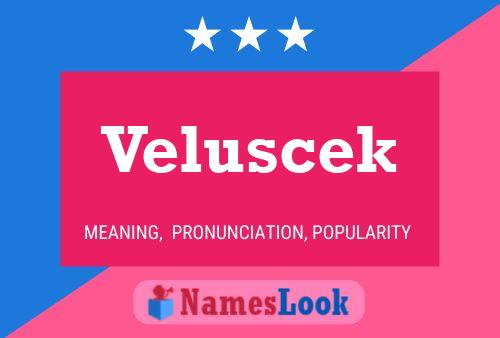 ملصق اسم Veluscek