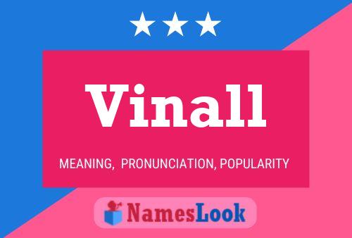 ملصق اسم Vinall