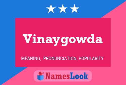 ملصق اسم Vinaygowda