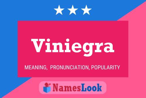 ملصق اسم Viniegra