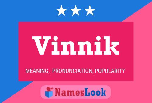 ملصق اسم Vinnik