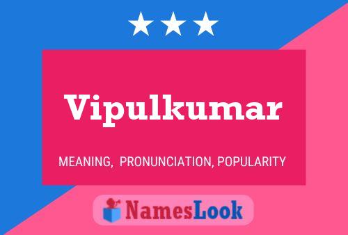 ملصق اسم Vipulkumar