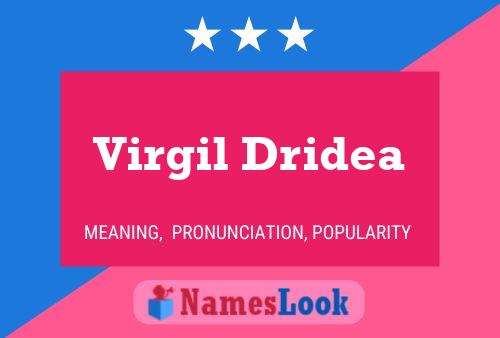 ملصق اسم Virgil Dridea