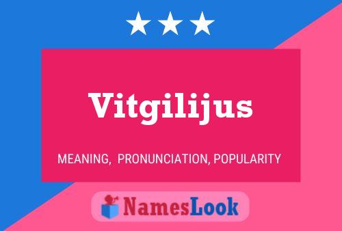 ملصق اسم Vitgilijus