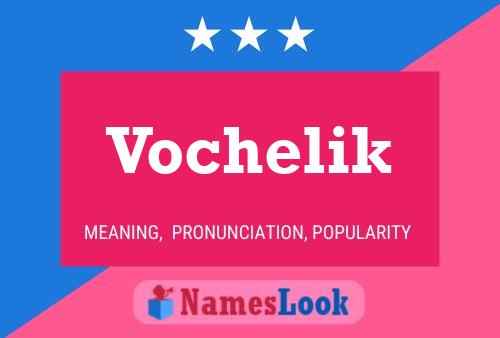 ملصق اسم Vochelik