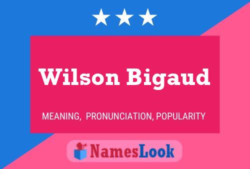 ملصق اسم Wilson Bigaud