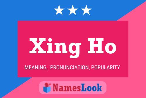 ملصق اسم Xing Ho