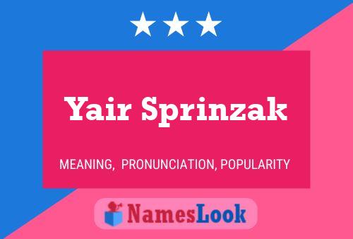 ملصق اسم Yair Sprinzak