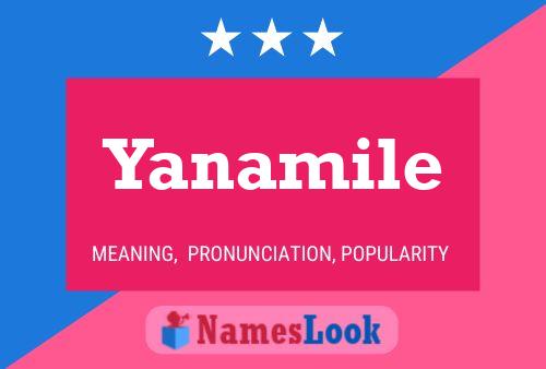 ملصق اسم Yanamile