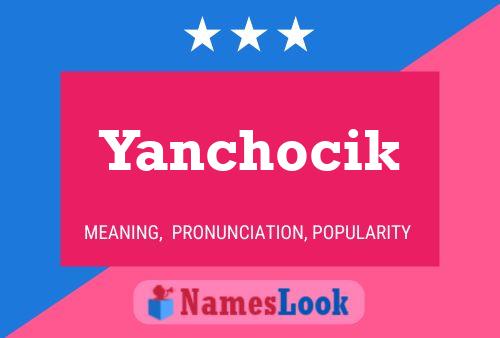 ملصق اسم Yanchocik