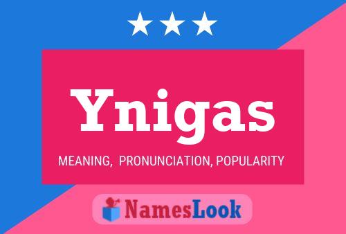 ملصق اسم Ynigas