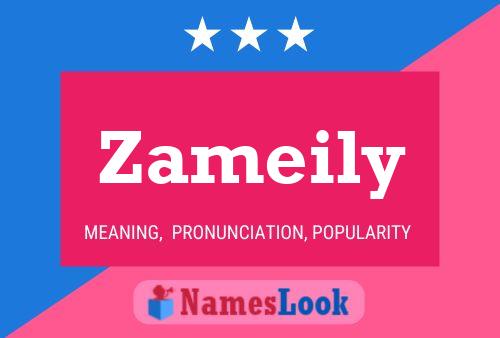 ملصق اسم Zameily