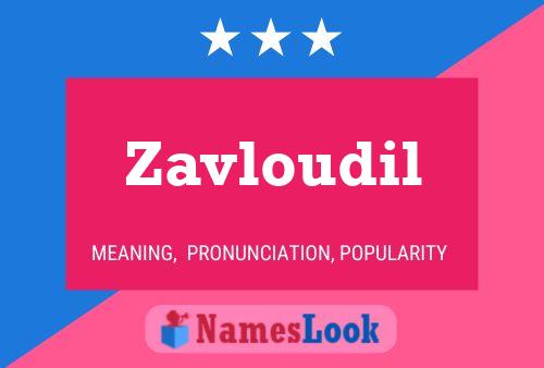 ملصق اسم Zavloudil