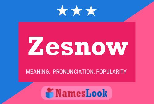 ملصق اسم Zesnow