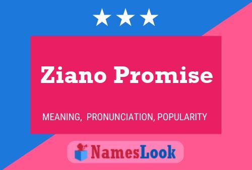 ملصق اسم Ziano Promise