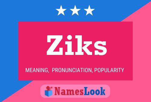 ملصق اسم Ziks