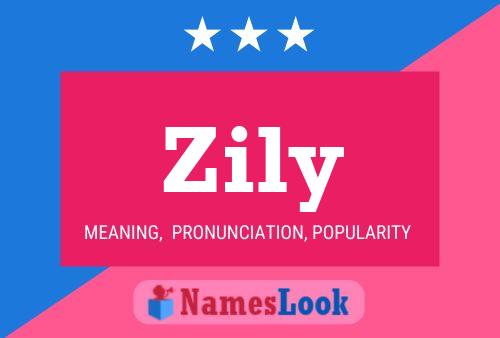 ملصق اسم Zily