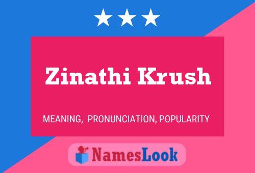 ملصق اسم Zinathi Krush