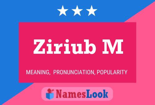 ملصق اسم Ziriub M