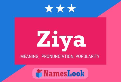 ملصق اسم Ziya