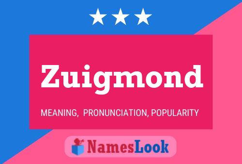 ملصق اسم Zuigmond