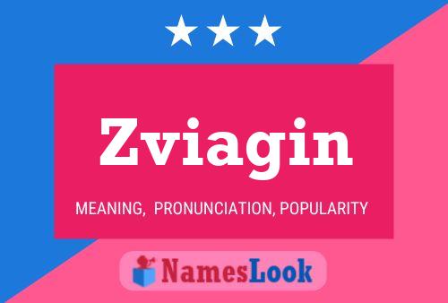 ملصق اسم Zviagin