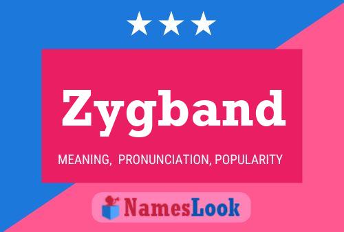 ملصق اسم Zygband